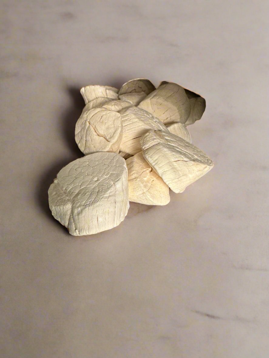 RAW Freeze-Dried Scallops 3.7oz | QTY 18-23 Per package | 1 LB. Rehydrated |