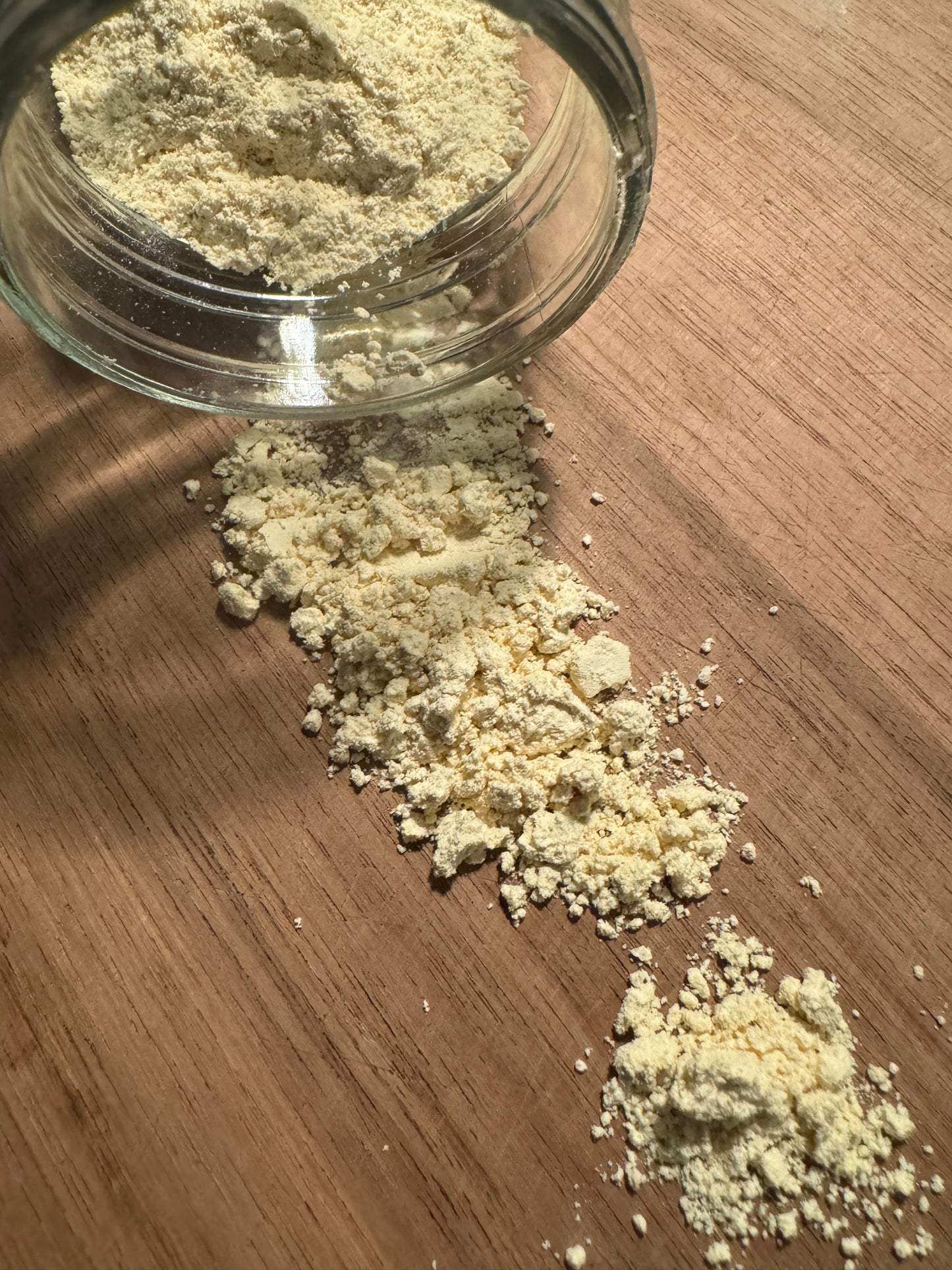 Freeze-Dried Lion's Mane Mushroom Fruiting Body Slices | Real Deal Large 25 Gram Jar | Great for tea or powder | Can be rehydrated and cooked or used as a herbal supplement | USDA organic. Excellent for Stamets Stack | No Refrigeration Required