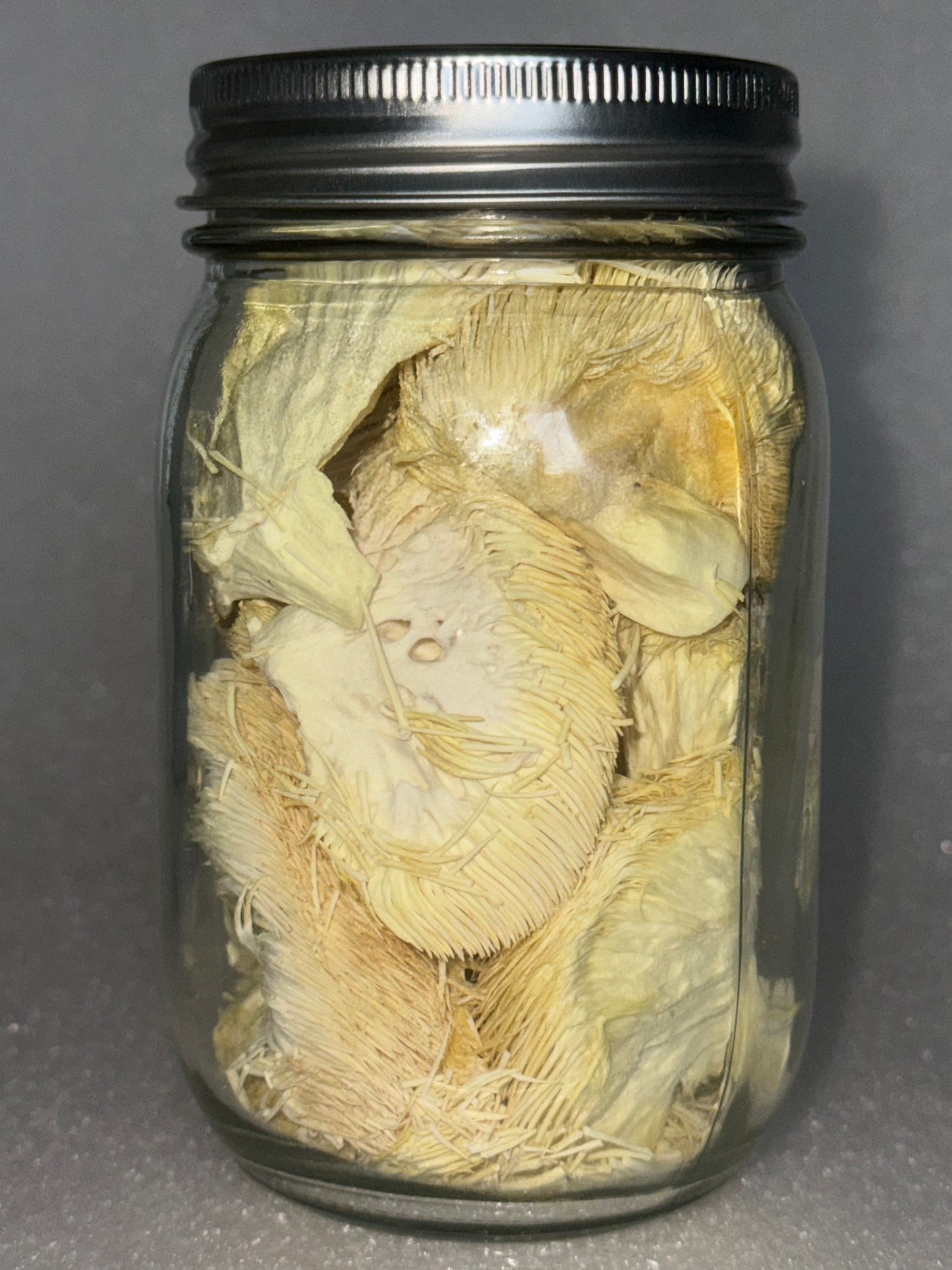 Freeze-Dried Lion's Mane Mushroom Fruiting Bodies | Can be rehydrated and cooked or used as supplement | Make into tincture, tea or powder | Grown in U.S.A | USDA Organic | in Vacuum Sealed Jar | 25 Year Shelf-Life