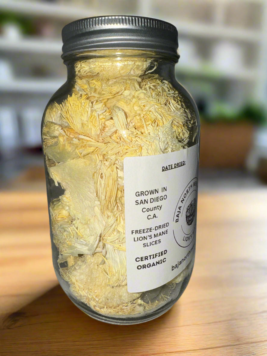 Freeze-Dried Lion's Mane Mushroom Fruiting Body Slices | Real Deal Large 25 Gram Jar | Great for tea or powder | Can be rehydrated and cooked or used as a herbal supplement | USDA organic. Excellent for Stamets Stack | No Refrigeration Required