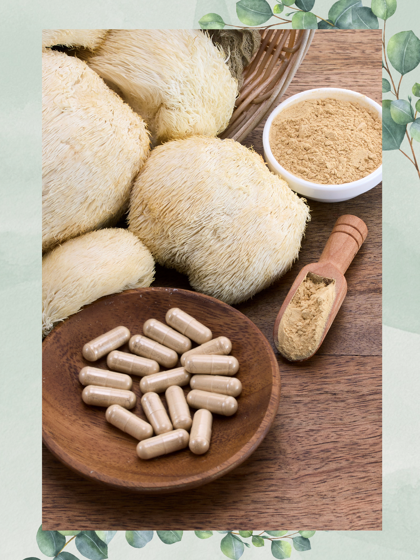 Freeze-Dried Lion's Mane Mushroom Fruiting Body Slices | Real Deal Large 25 Gram Jar | Great for tea or powder | Can be rehydrated and cooked or used as a herbal supplement | USDA organic. Excellent for Stamets Stack | No Refrigeration Required
