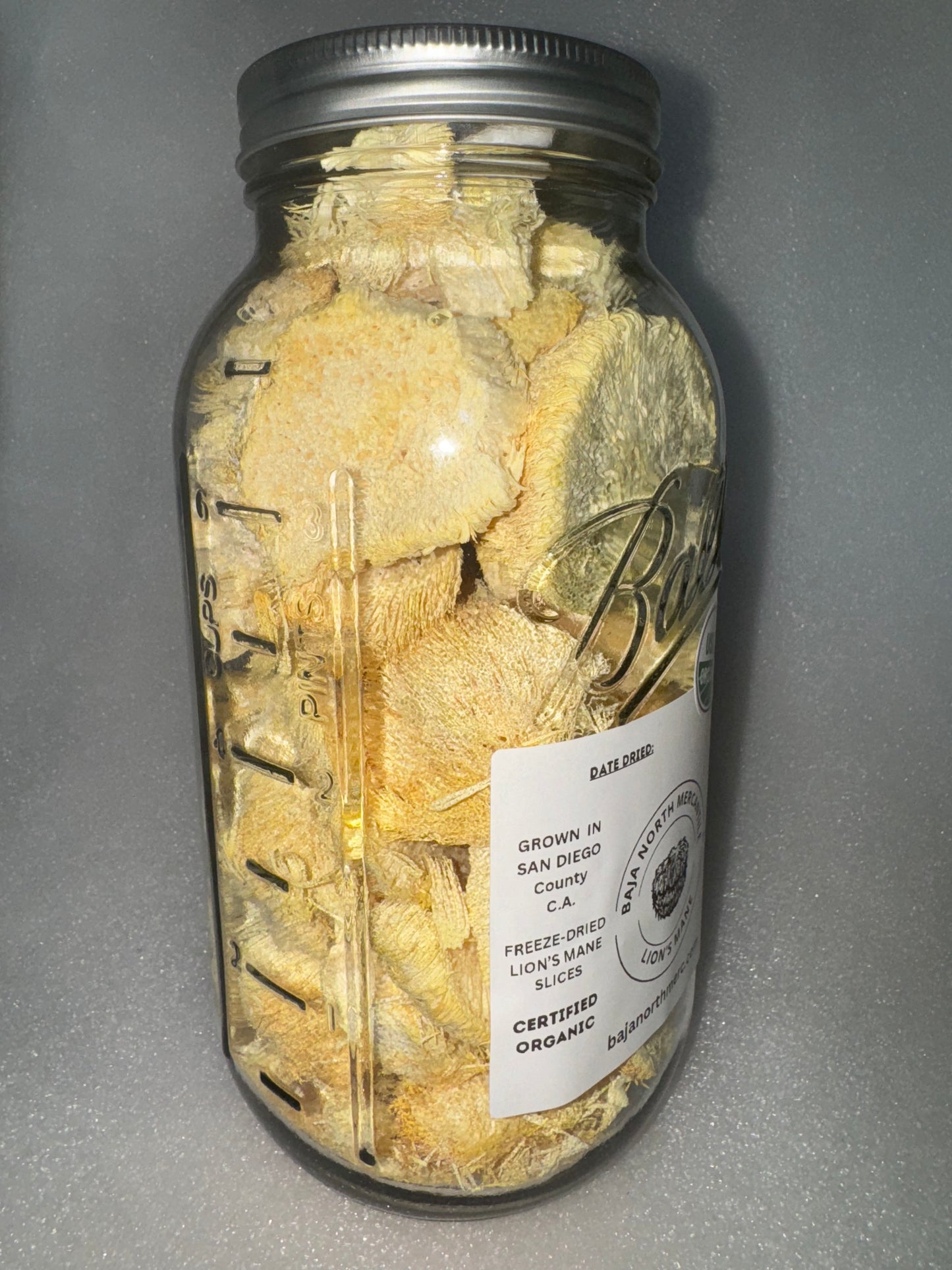 50 gram Huge JAR of Freeze-Dried Lion's Mane Mushroom Slices. 1.5lbs Rehydrated. 100% Organic. 100% Made in USA. Great for Powder, Tea or Supplement. No fillers. No Additives. Great for Stamets stack!