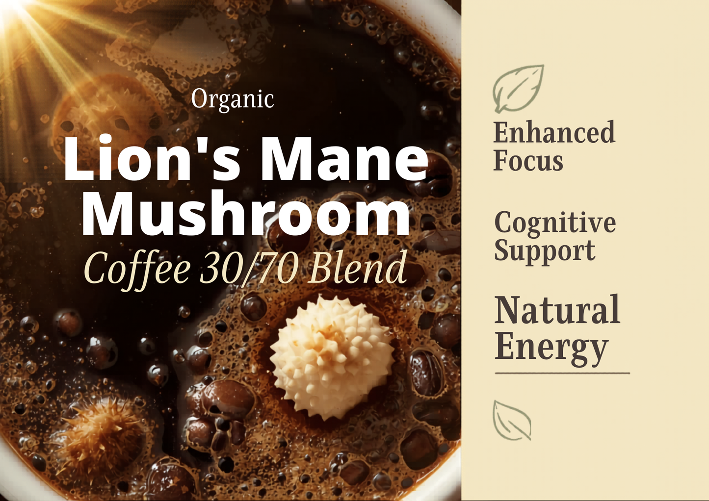 ORGANIC Lion's Mane Mushroom Coffee 30/70 blend a USA Product